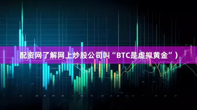 配资网了解网上炒股公司叫“BTC是虚拟黄金”）